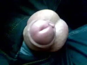 Kaylee cerita sex xx ...