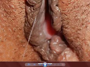Chimp kursi cerita h ...